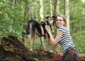 Husky, Hundebetreuung, Hundepension, Hundetagessttte, Hundesitter, Hundehotel, HUTA, Ampfing, Mhldorf, Waldkraiburg, Burghausen, 
Alttting, Dorfen, Wasserburg, Landshut